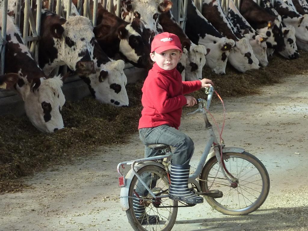 Gite De La Huberderie Quettehou Ruang foto